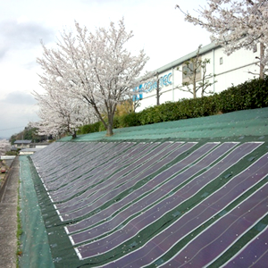 Solar power generating system(thin film system, amorphous)